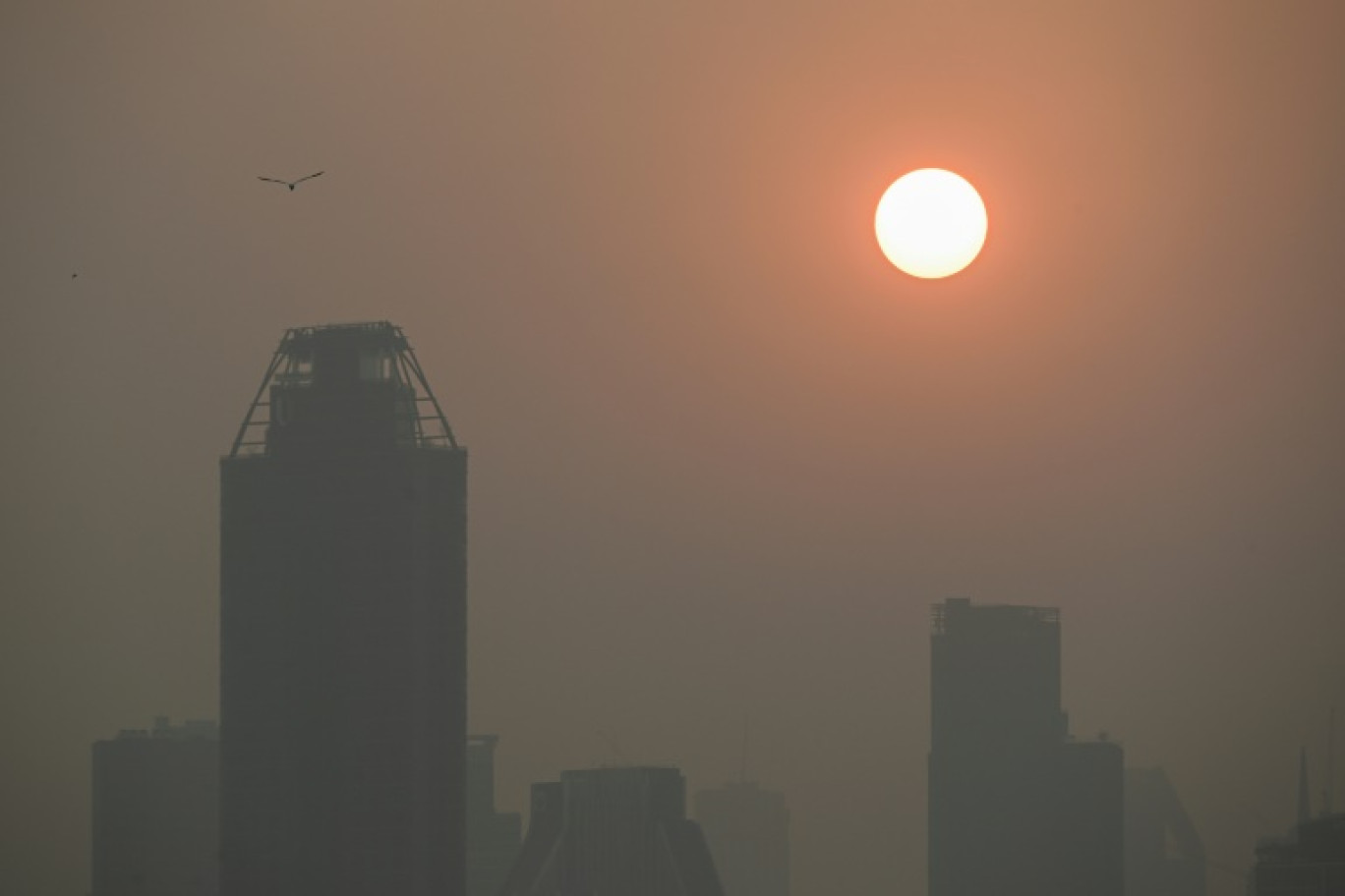 Brouillard de pollution à Bangkok, le 15 février 2024 en Thaïlande © Lillian SUWANRUMPHA