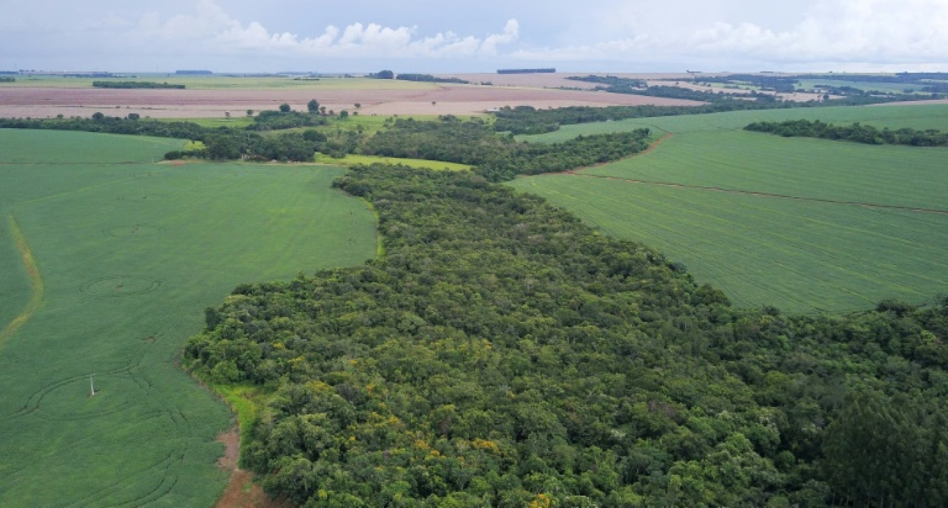 Vue aérienne de la réserve environnementale située dans une plantation de soja dans une ferme à Montividiu, commune de l'Etat de Goias, le 22 janvier 2024 © Sergio Lima