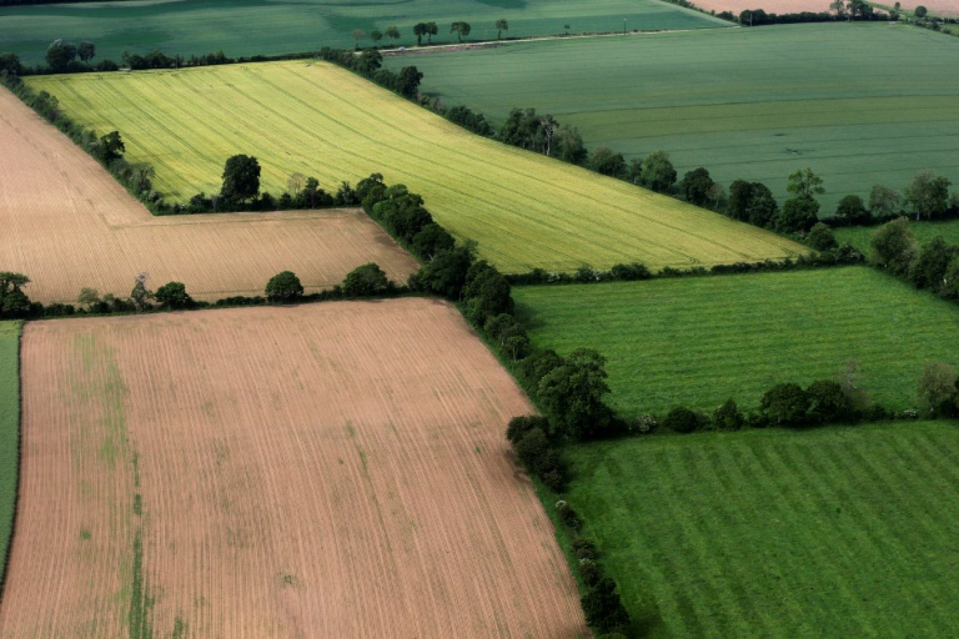 Vue aérienne de champs entourés de haies, près de Ouistreham (Calvados), le 3 juin 2014 © JOEL SAGET