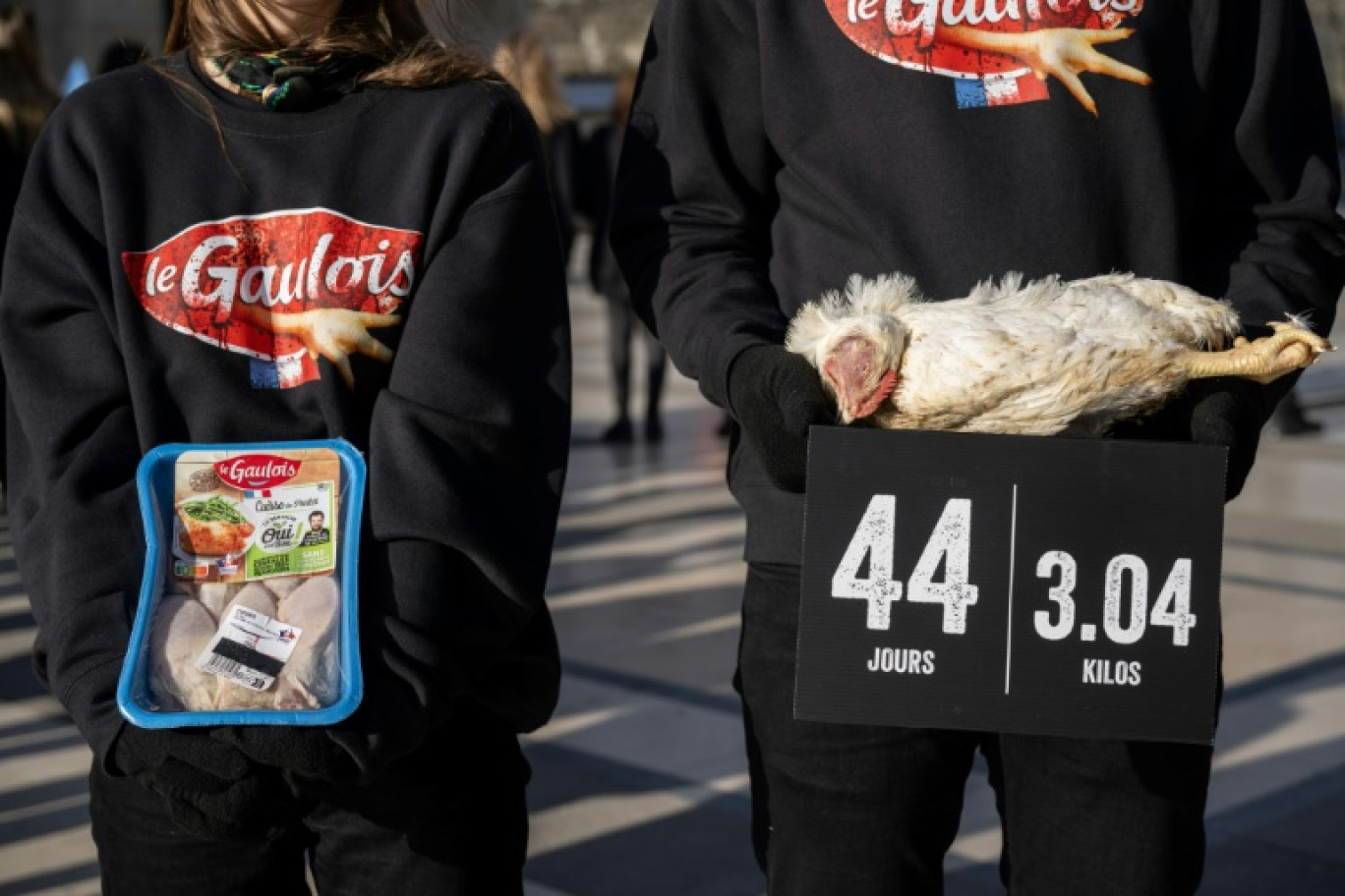 Des membres de l'association L214 tiennent des poulets morts lors d'une manifestation pour dénoncer l'utilisation de poulets génétiquement manipulés par l'entreprise alimentaire française "Le Gaulois", le 15 février 2024 à Paris © BERTRAND GUAY