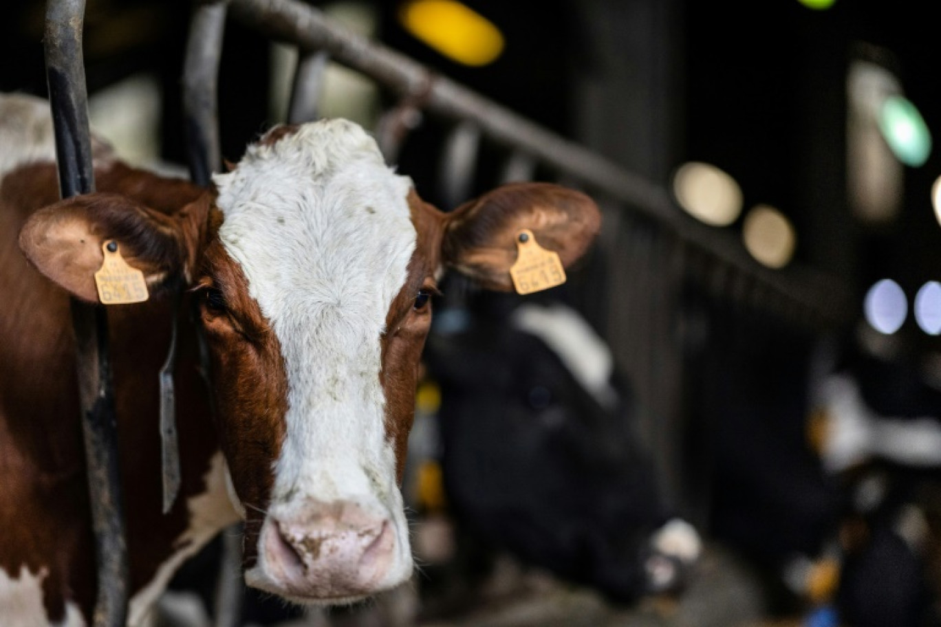 Le secteur agricole a été inclus dans la liste des métiers en tension en France, selon un arrêté paru le 2 mars 2024 au Journal officiel © Fred TANNEAU