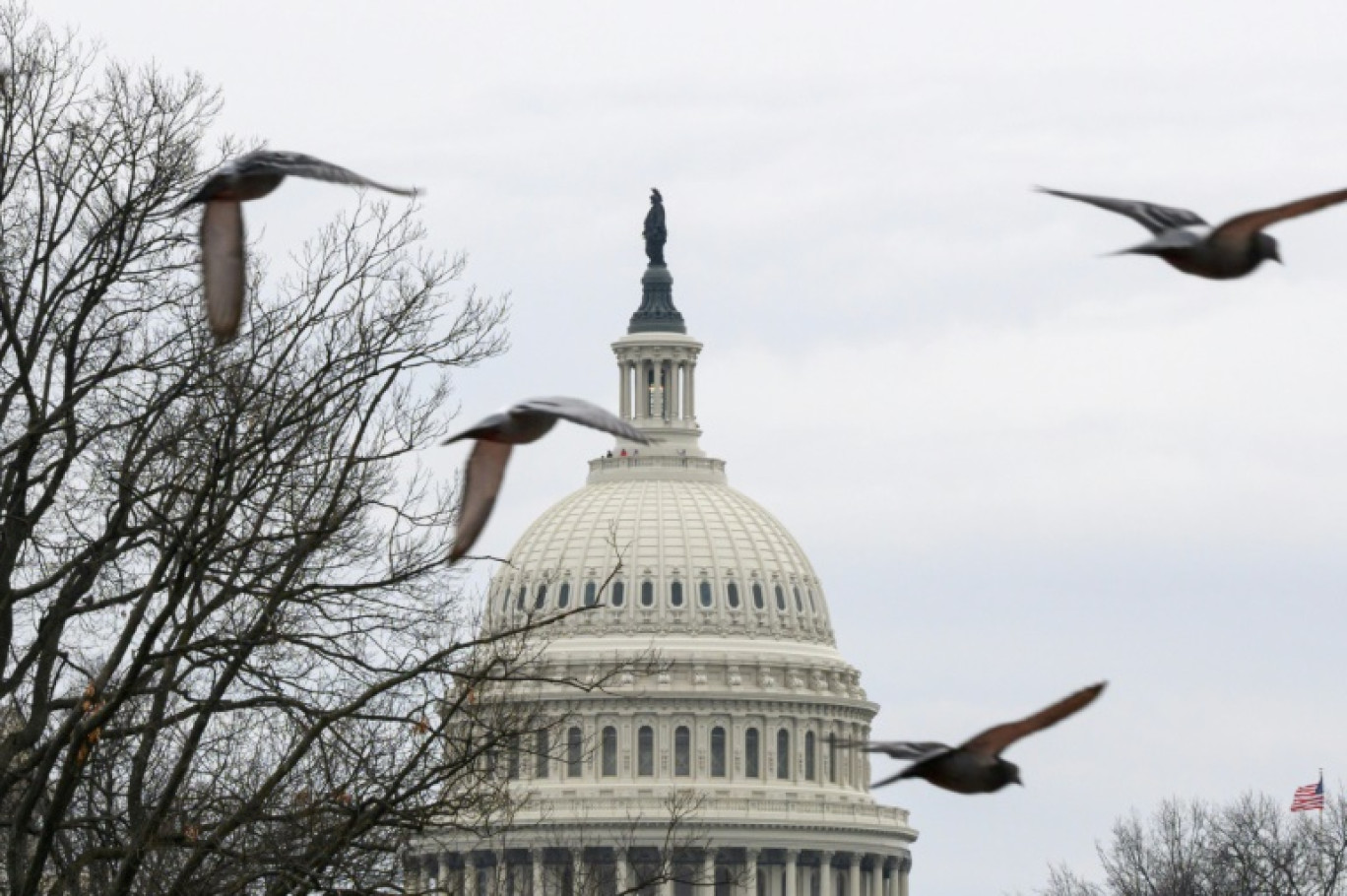 Le Capitole de Washington, le 27 février 2024 © Mandel NGAN