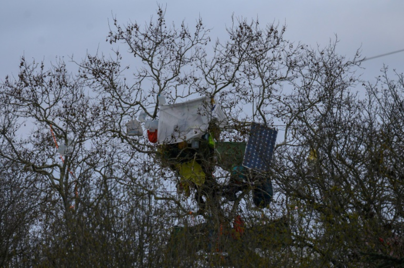 Une cabane est installée au sommet d'un arbre par les opposants au projet d'autoroute A69, le 1er mars 2024 à Saïx, dans le Tarn © Ed JONES