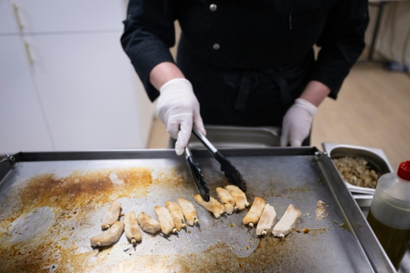 Un chef cuisine un substitut de filet de poulet à base de végétaux à l'usine Umiami de Duppigheim, le 18 mars 2024. © SEBASTIEN BOZON