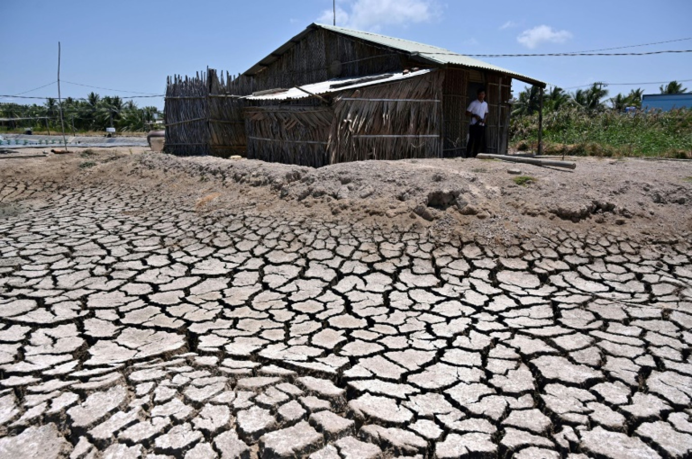 Une maison près d’un étang asséché dans la province de Ben Tre, le 19 mars 2024 dans le sud du Vietnam © Nhac NGUYEN