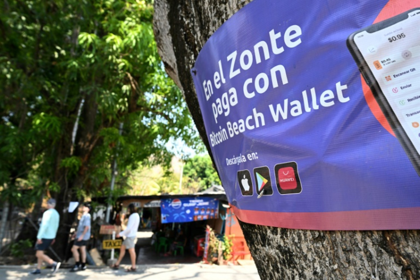 Une affiche promouvant les transactions en bitcoin à El Zonte, le 16 mars 2024 au Salvador © Marvin Recinos