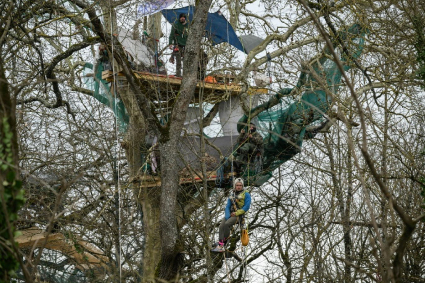 Des militants écologistes perchés dans un arbre pour protester contre le projet d'autoroute A69, le 22 février 2024 à Saïx, dans le Tarn © Ed JONES