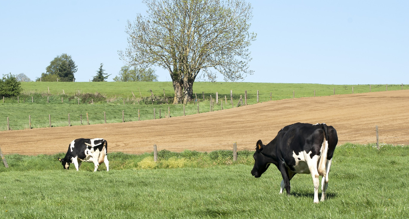 Innovez pour l'agriculture durable de demain !