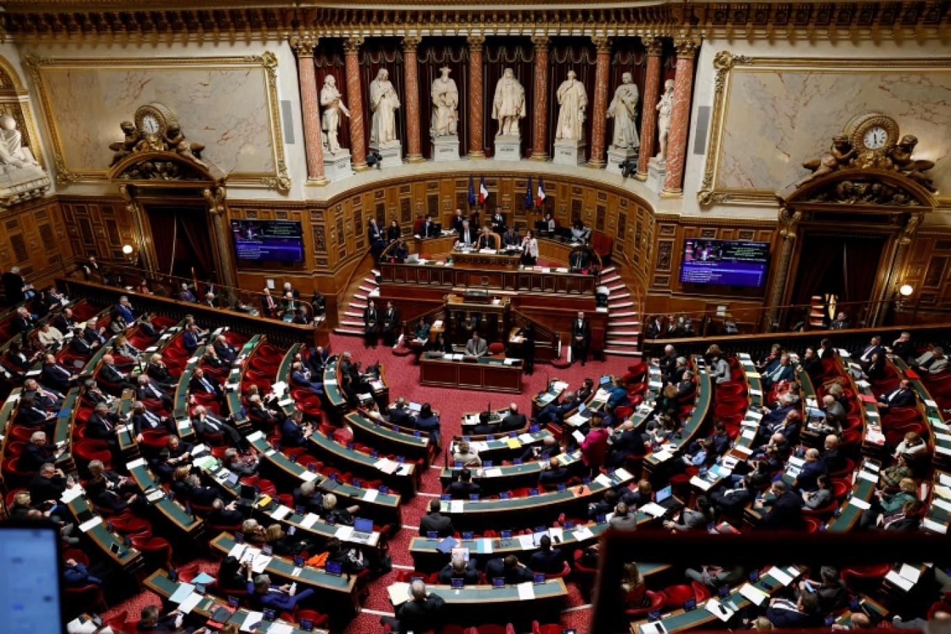 La ministre déléguée aux Outre-mer Marie Guévenoux devant le Sénat, le 2 avril 2024 à Paris © Bertrand GUAY