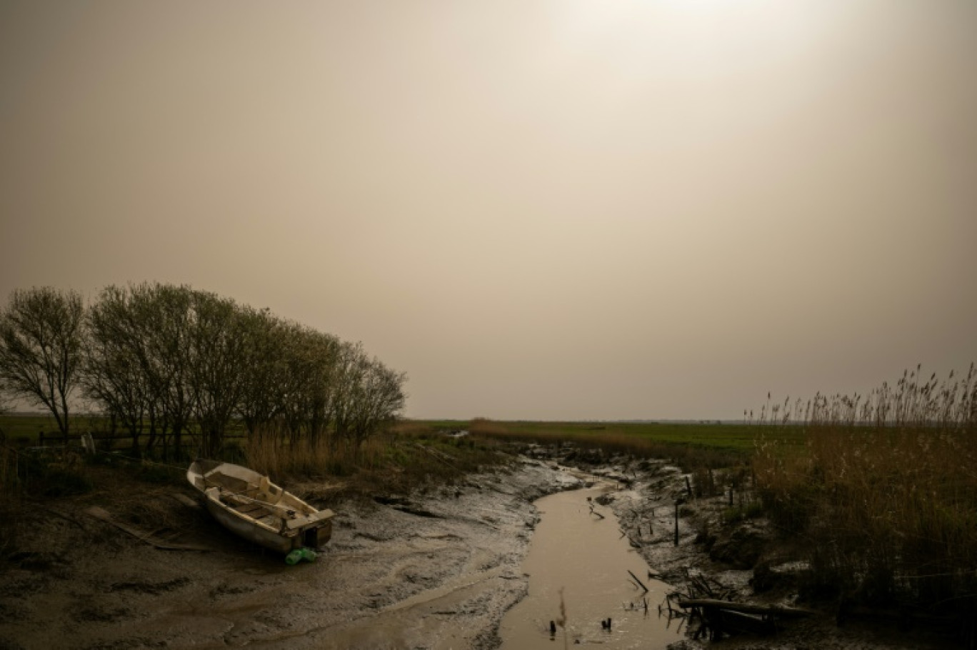 La qualité de l'air se dégrade dimanche dans cinq départements d'Occitanie, en raison du fort vent de sud, transportant des particules de sable du Sahara © Loic VENANCE