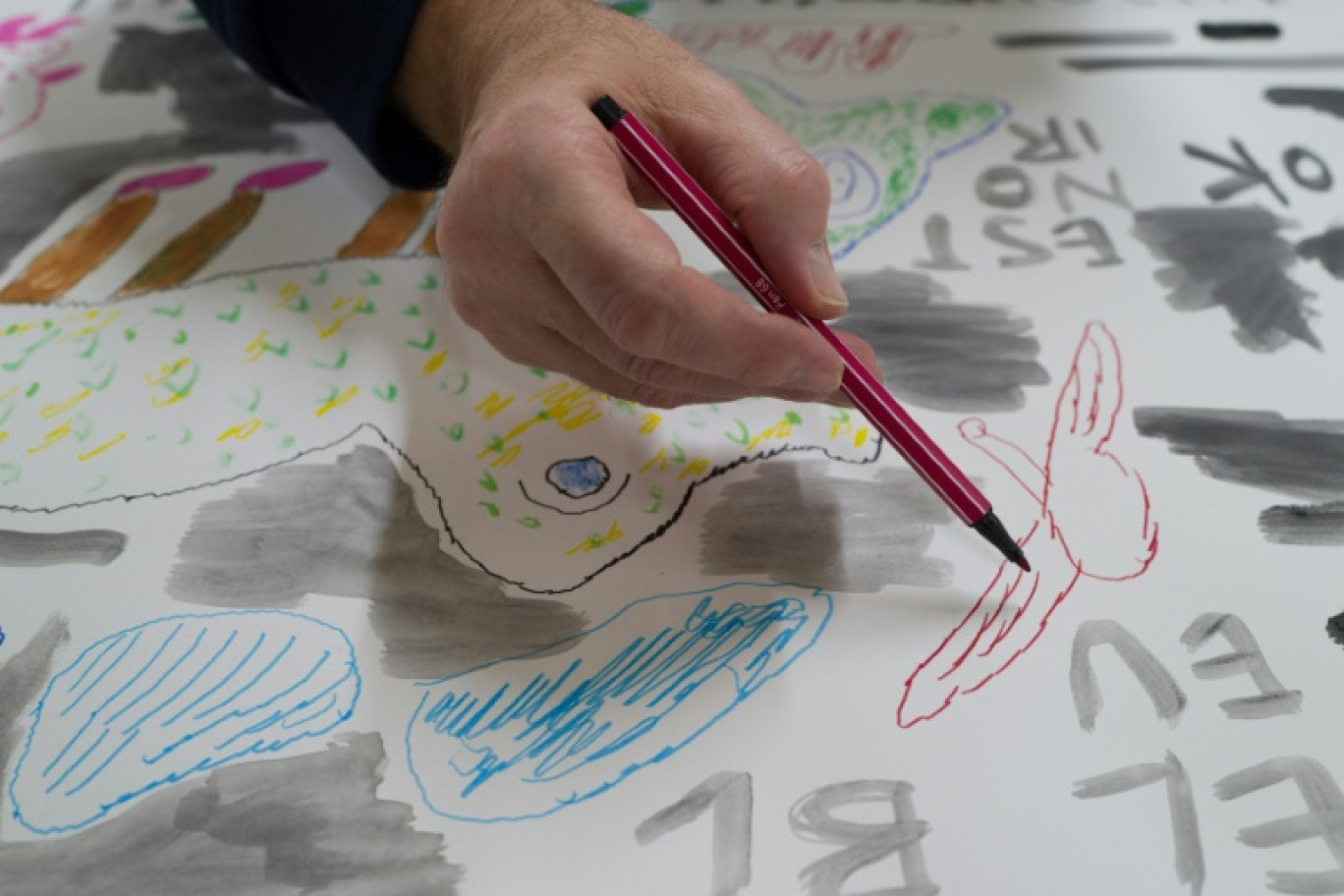 Des milliers d'enfants en situation de handicap n'ont pas accès en France à une scolarisation adapté © SEBASTIEN BOZON