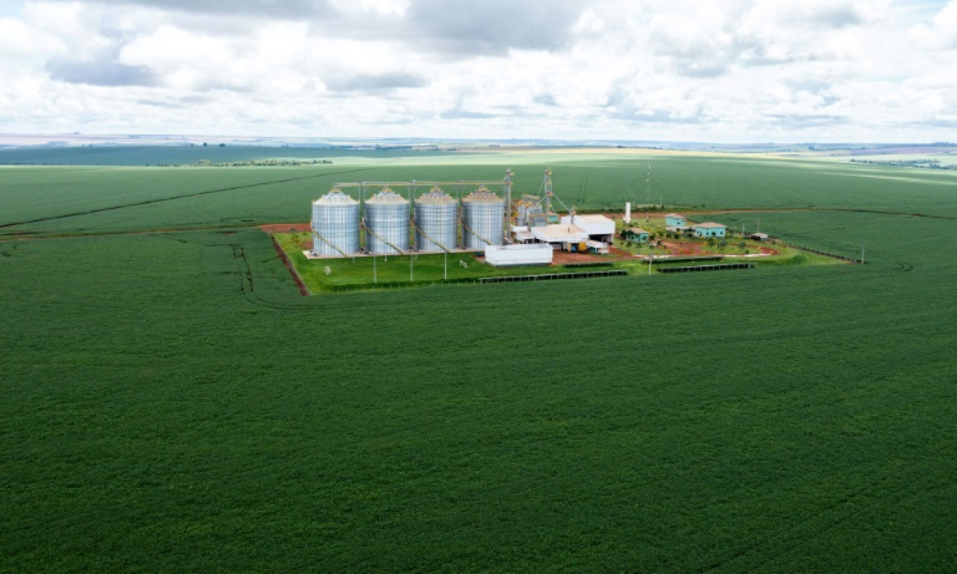 Vue aérienne d'une plantation de soja dans l'Etat de Goias, au Brésil, le 22 janvier 2024 © Sergio Lima