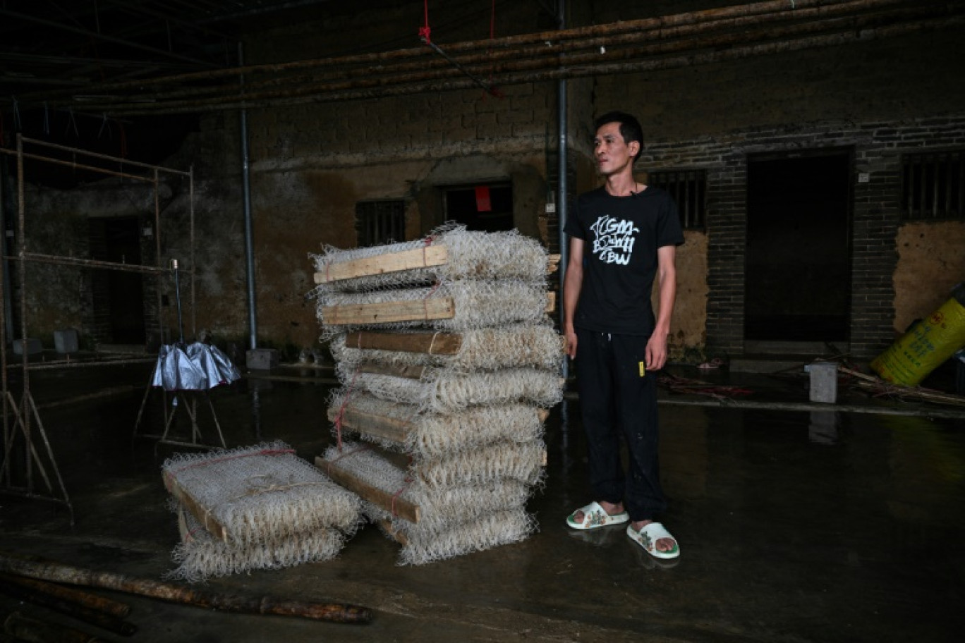 L'éleveur de vers à soie Zhu Huangyi, qui a perdu les deux tiers de sa production en raison des inondations, dans son local du village de Sancun, à Yingde, dans la province chinoise du Guangdong, le 25 avril 2024 © Hector RETAMAL