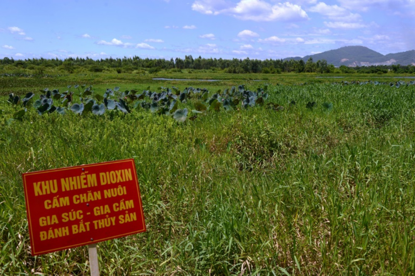 Un panneau signalant une "zone contaminée par la dioxine" au lac Ho Sen près de l'aéroport de Danang, ancienne base aérienne américaine, le 9 août 2012 au Vietnam © HOANG DINH NAM