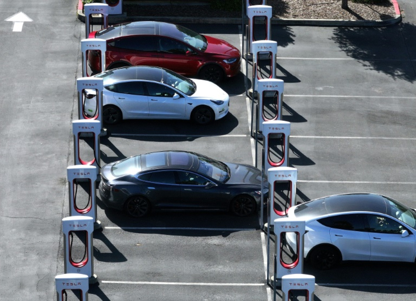 Une station Supercharger du constructeur américain Tesla, le 2 mai 2024 à Petaluma (Californie) © JUSTIN SULLIVAN