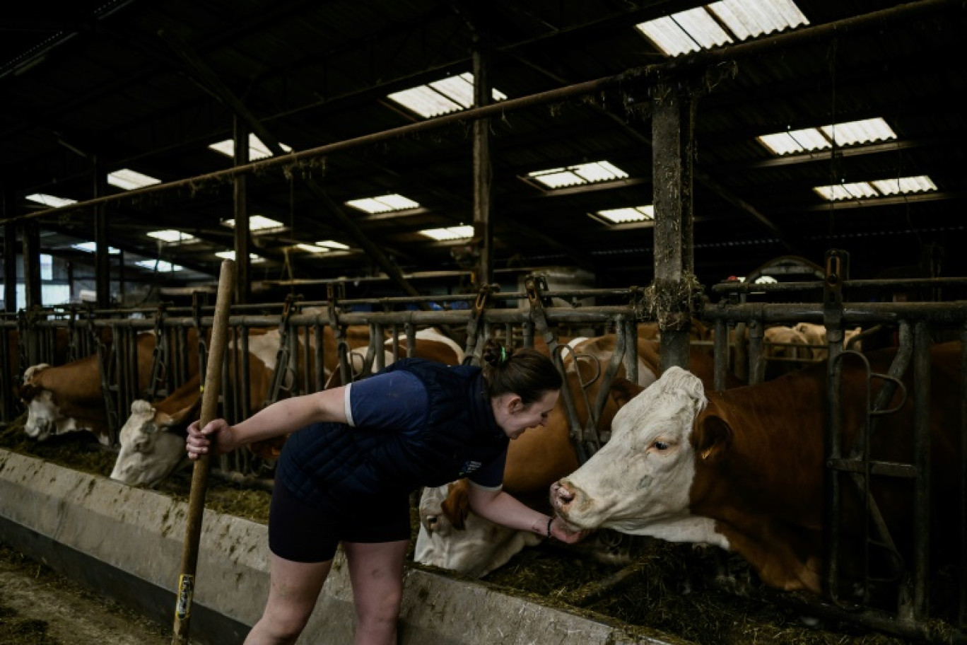 Melanie Flammarion Paillard, dans l'exploitation qu'elle cogère avec sa famille en Haute-Marne, le 15 mai 2024. © JEFF PACHOUD