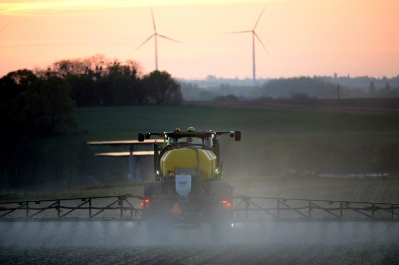 Herbicide interdit par l'UE: les semis de la dernière chance pour les endiviers © JEAN-FRANCOIS MONIER