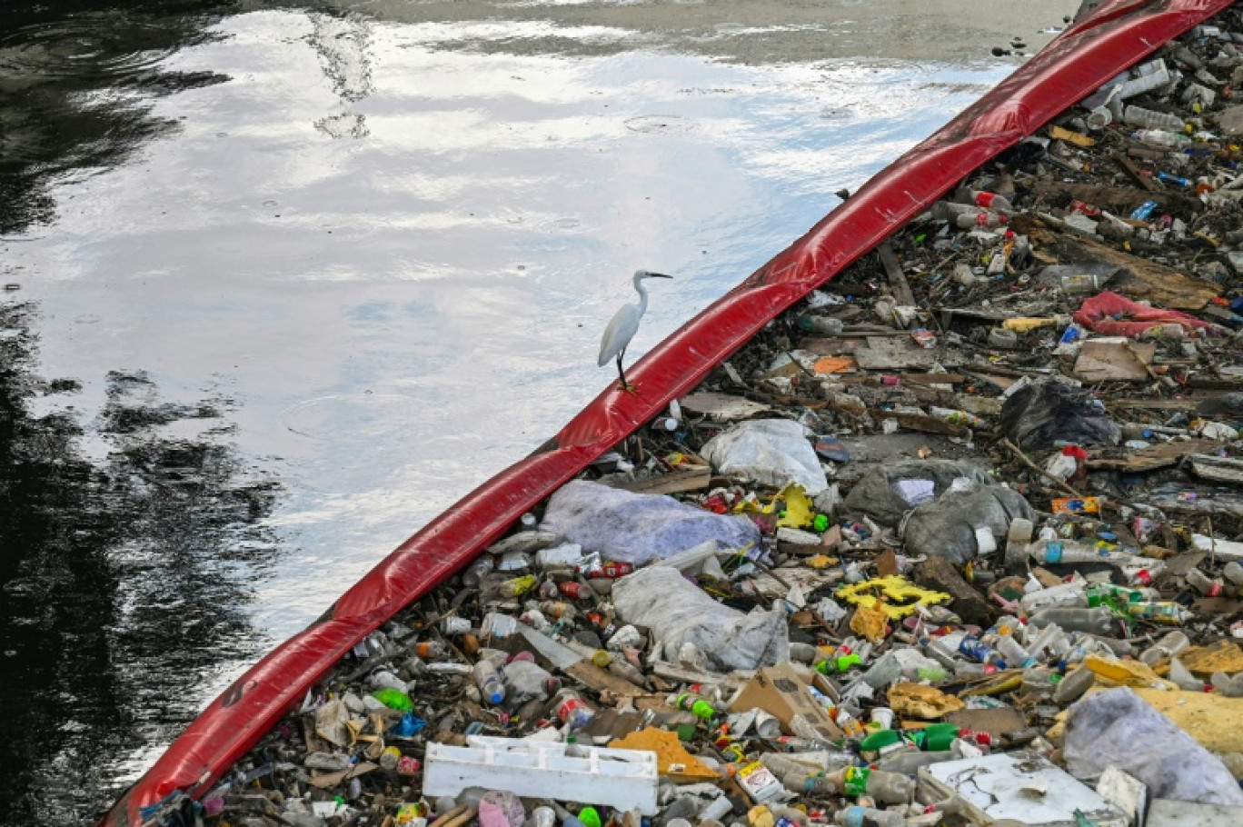 Un oiseau se pose sur une barrière repoussant les déchets le 1er avril 2024  sur une rivière de Manille © JAM STA ROSA