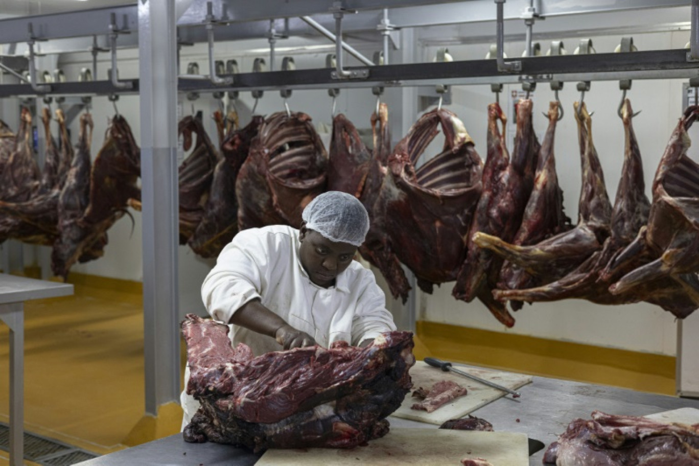 Dans un abattoir spécialisé en viande de gibier, à Bela Bela le 22 avril 2024 © MARCO LONGARI