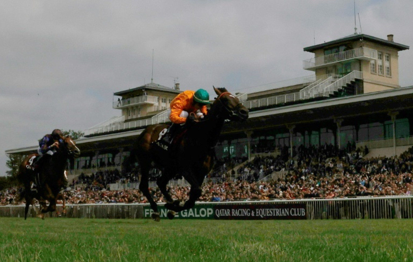 Le poulain français Look de Vega monté par Ronan Thomas lors du Prix du Jockey-Club, le 2 juin 2024 à Chantilly, au nord de Paris © Geoffroy VAN DER HASSELT