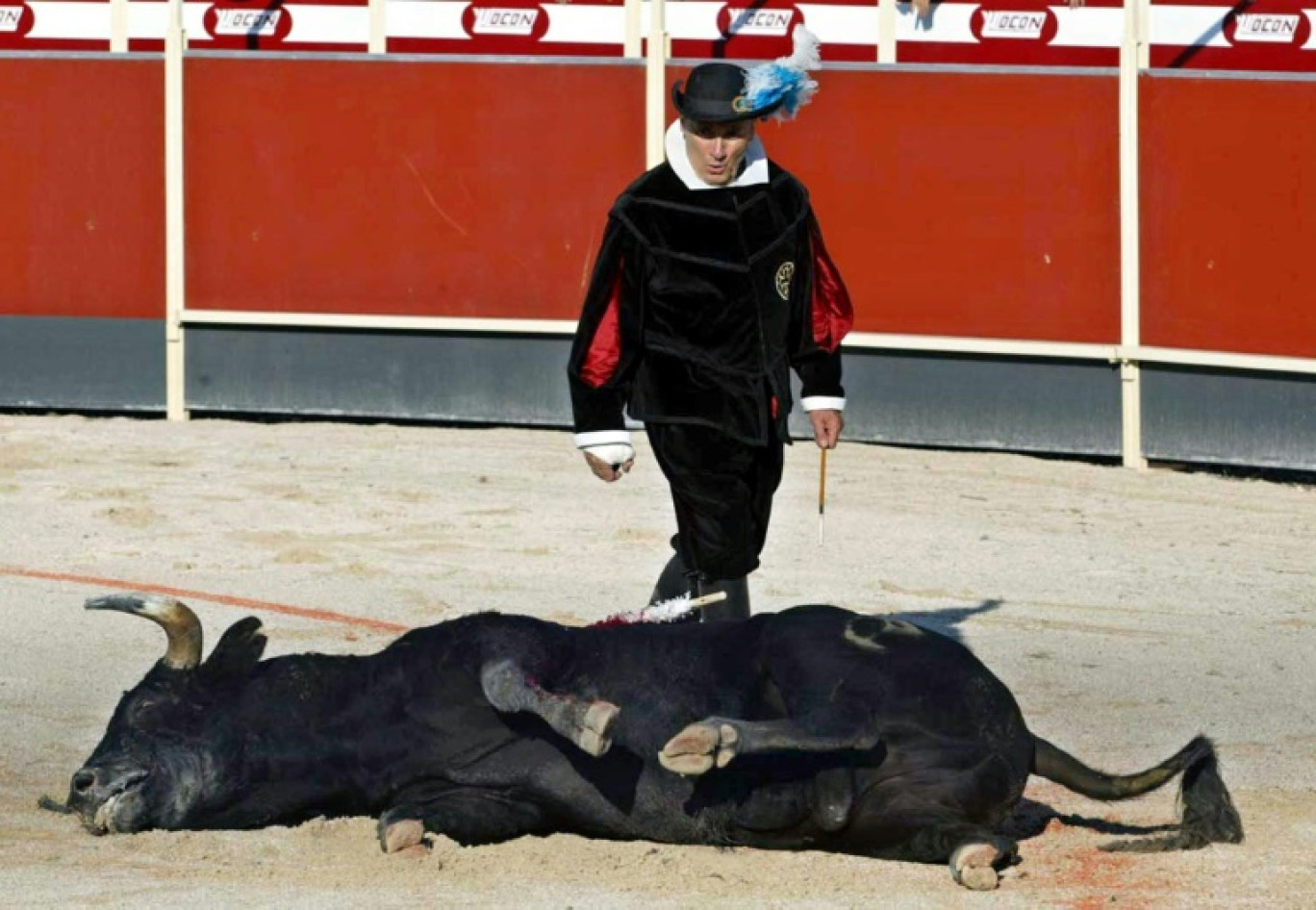 Une novillada avec mise à mort, le 22 septembre 2002, dans les arènes de Rieumes, en Haute-Garonne © ERIC CABANIS