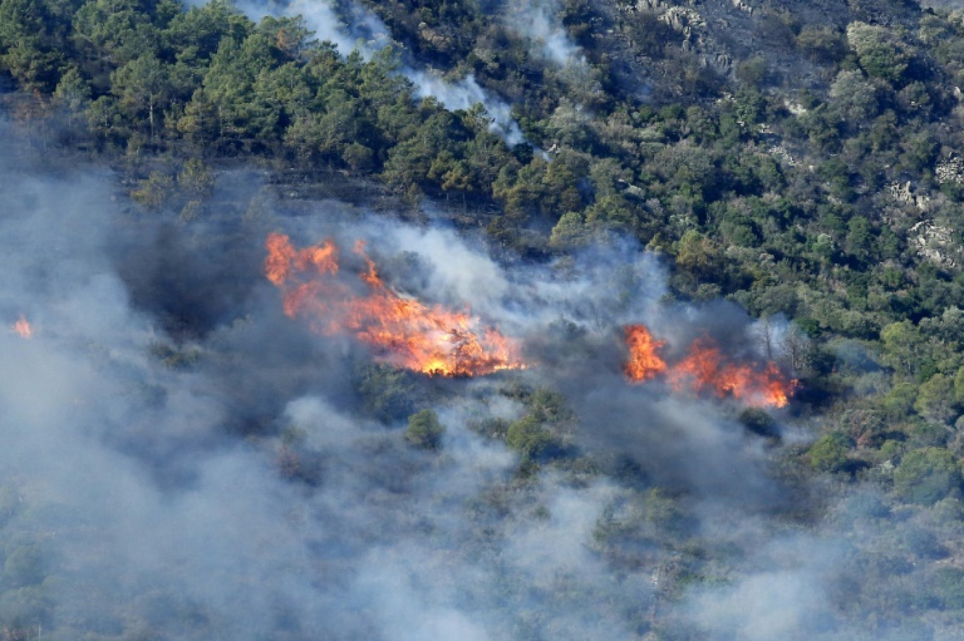 Incendie près de la commune espagnole de Portbou, à proximité de la frontière avec la France, le 5 août 2023 © RAYMOND ROIG