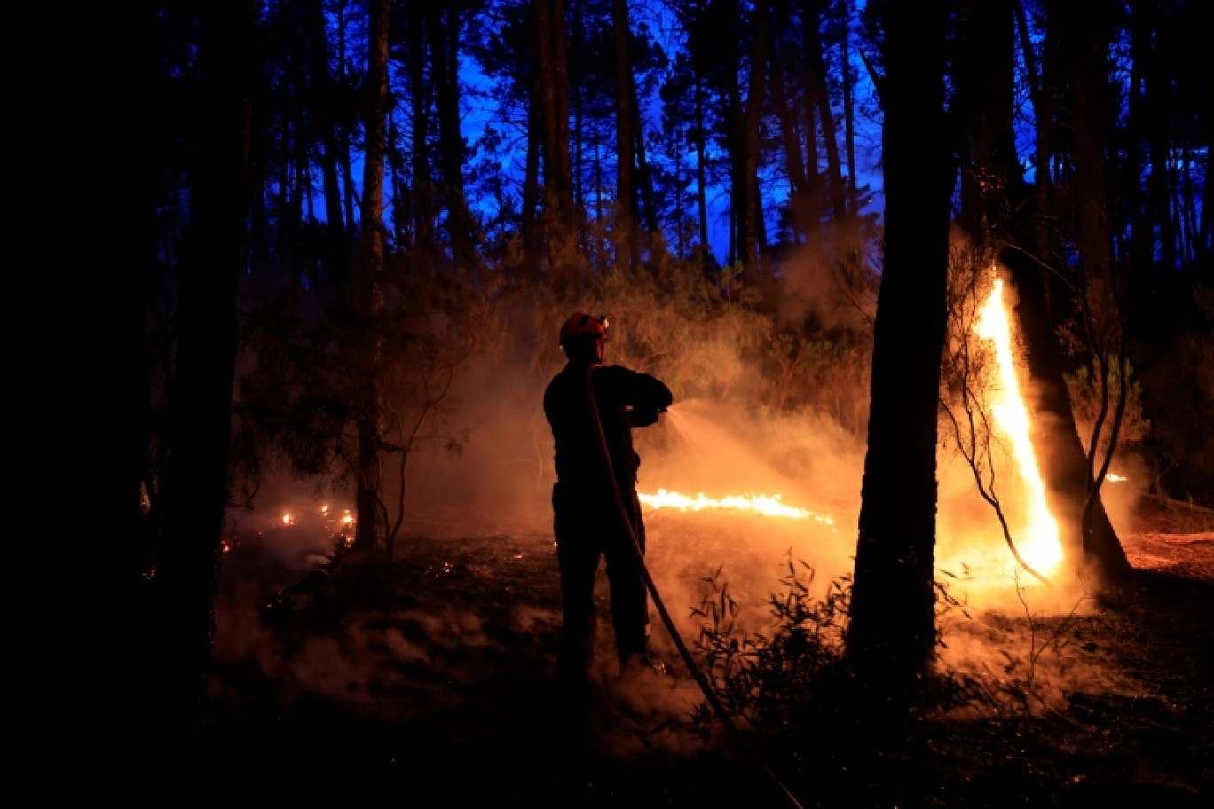 Un pompier s'attaque à un incendie de forêt près de Vidauban, dans le sud de la France, le 11 juin 2024 © Valery HACHE