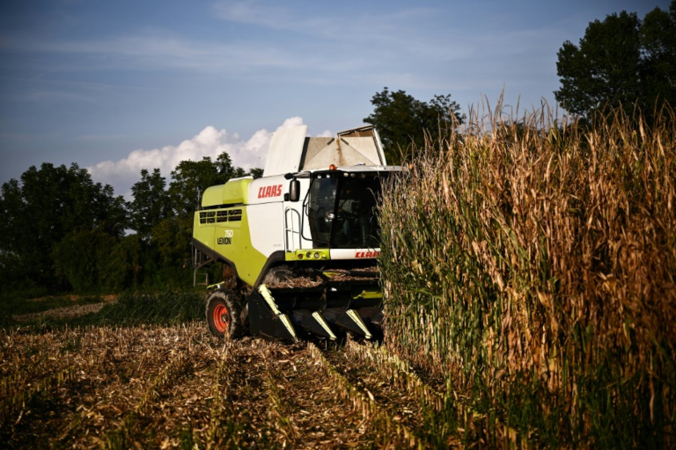 Un Indien travailleur saisonnier dans l'agriculture près de Rome est décédé deux jours après avoir été abandonné par son employeur avec un bras arraché à la suite d'un accident du travail © MARCO BERTORELLO