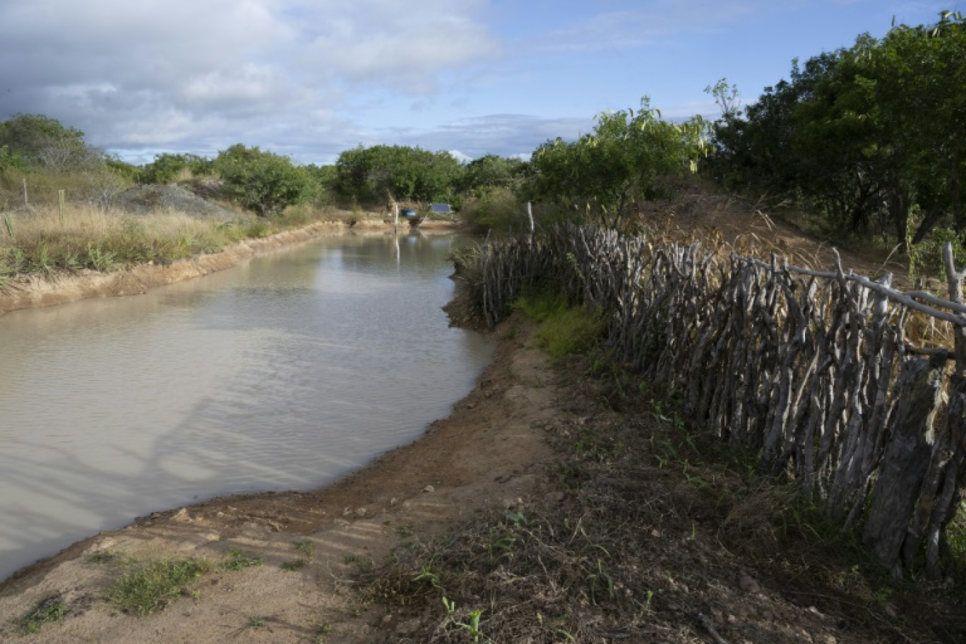 Un réservoir d'eau dans une zone de La Caatinga, État de Bahia, Brésil, le 12 juin 2024 © Pablo PORCIUNCULA