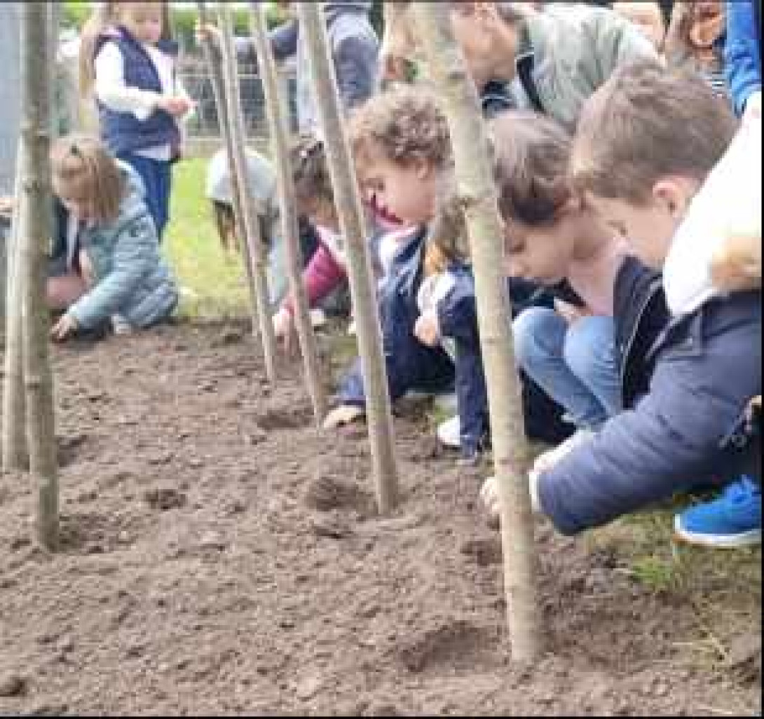 Le haricot de Soissons est distribué aux scolaires qui ont pu les semer. (c) GrandSoissons