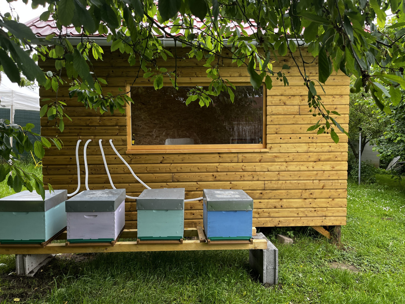 Le chalet apithérapie permet de respirer l'air des ruches.