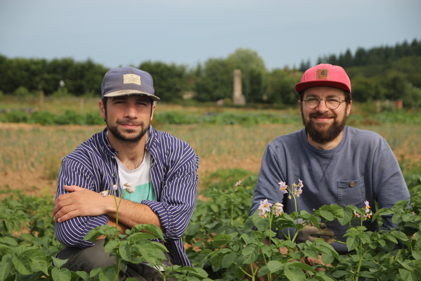 Arthur et Victor de Beaupuis disposent d’une surface totale de 4 ha. Mais un peu moins de 2 ha sont en production (dont 1 200 m² de serres). (© Aletheia Press / B.Delabre)