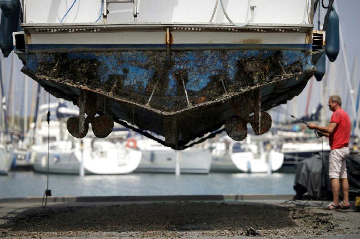 Un plaisancier utilise un nettoyeur à haute pression pour enlever les salissures de la coque d'un bateau à Port-Leucate, le 26 juin 2024 dans l'Aude © Valentine CHAPUIS