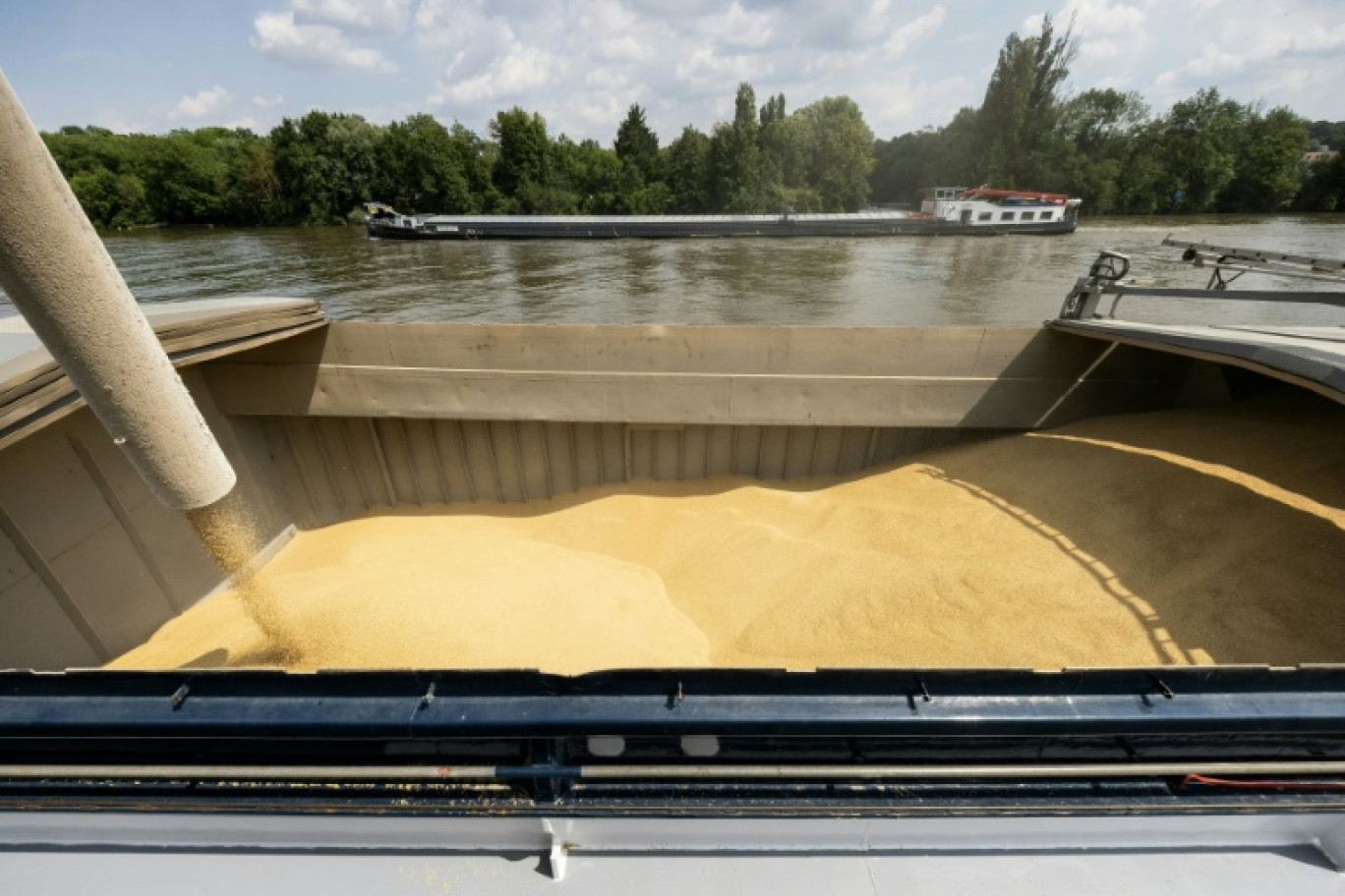 Une barge d'orge chargée en amont de Paris, à Grigny, avant sa descente de la Seine en direction de Rouen, en juin 2024 © Quentin TYBERGHIEN