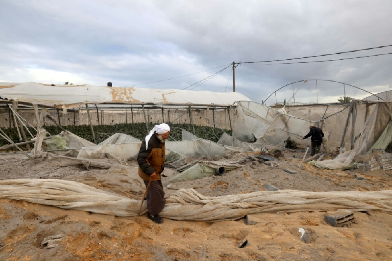 Des agriculteurs palestiniens inspectent le 11 janvier 2024 leur serre agricole détruite par une frappe aérienne israélienne, à Rafah, dans le sud de la bande de Gaza © -