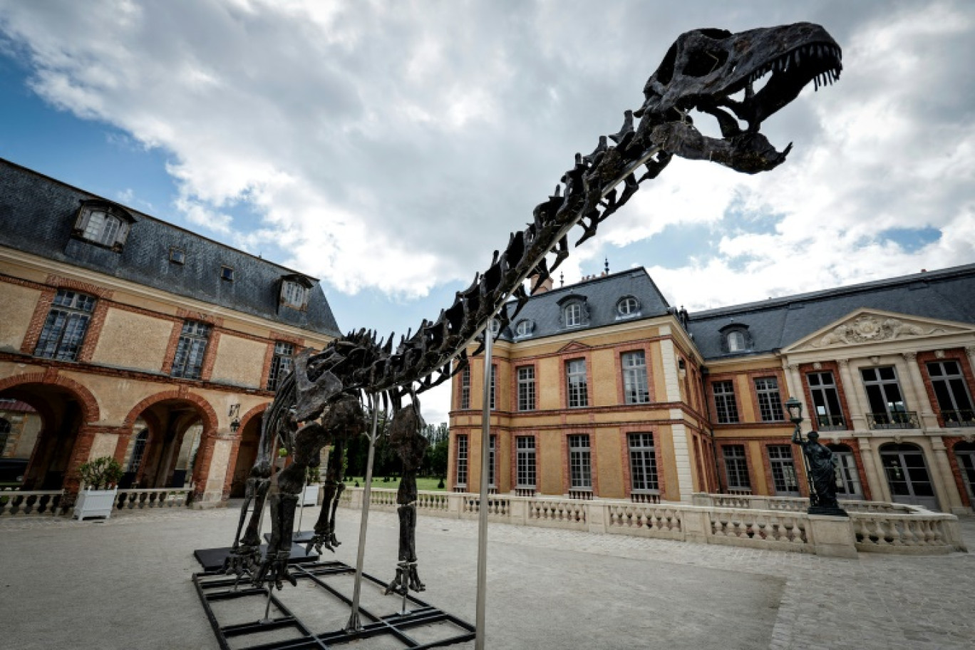 Le squelette du dinosaure "Vulcain", exposé au château de Dampierre avant une vente aux enchères, le 10 juillet 2024 à Dampierre-en-Yvelines, au sud-ouest de Paris © STEPHANE DE SAKUTIN