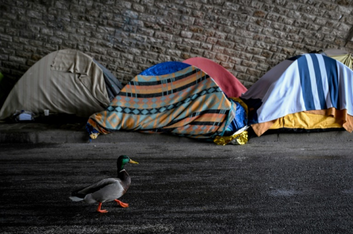 Des tentes installées par de jeunes migrants sans abri sous le pont de Sully dans le centre de Paris, le 10 février 2024 © Miguel MEDINA