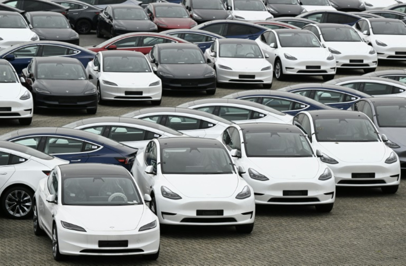 Des voitures Tesla sur un port de Belgique, le 21 juin 2024 © JOHN THYS