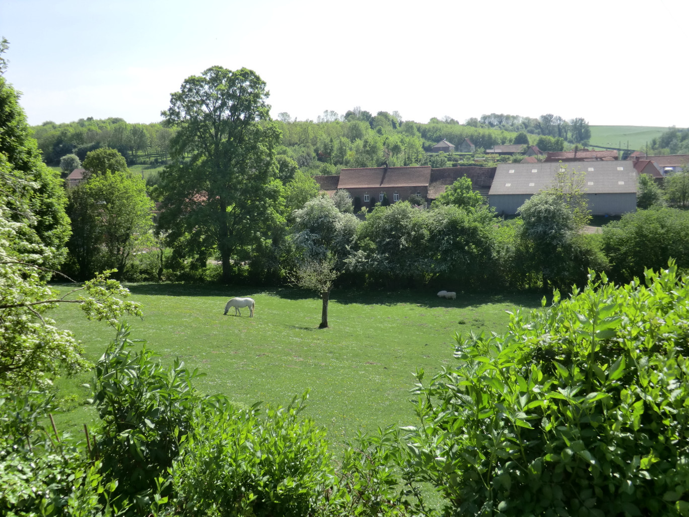 Le Pays d’Opale regroupe 115 communes et compte quelques 26 000 habitants. (@Mélanie Huguet)