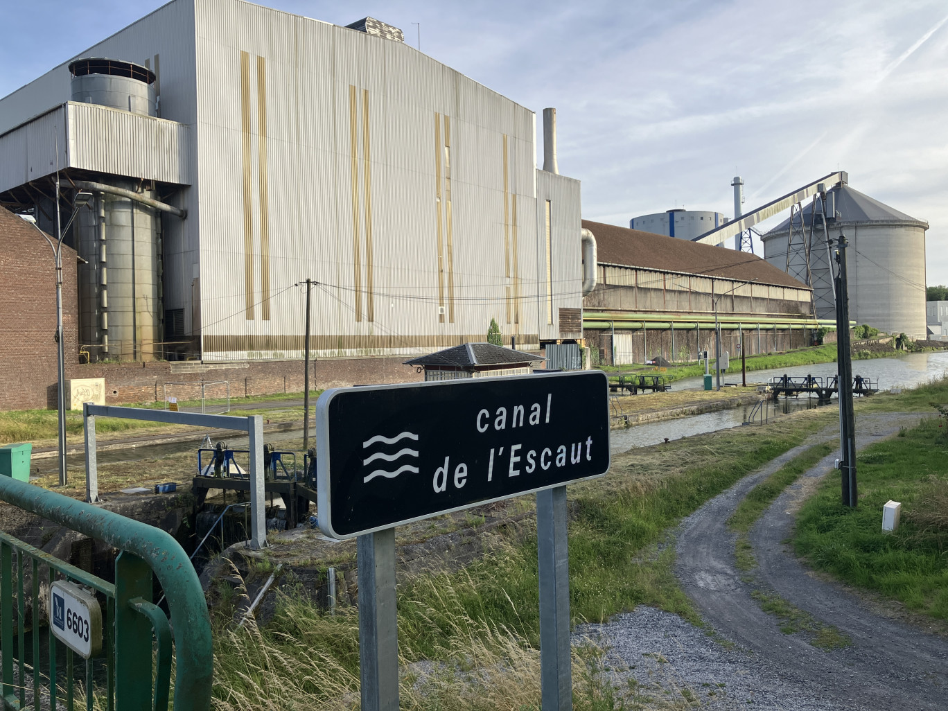 La friche Tereos, au bord du canal de l'Escaut. © Anne Henry