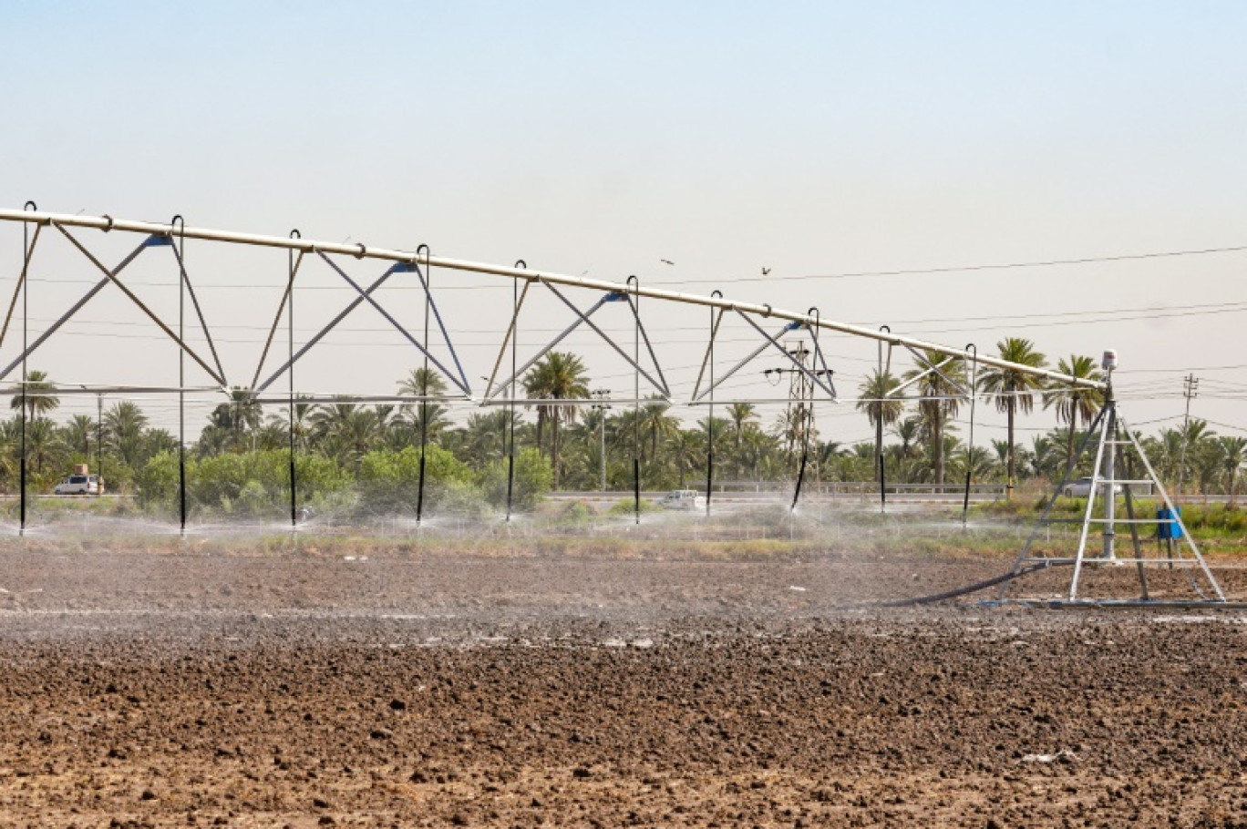 Des arroseurs irriguent une rizière dans la province irakienne de Najaf, le 8 juillet 2024 © Qassem al-KAABI