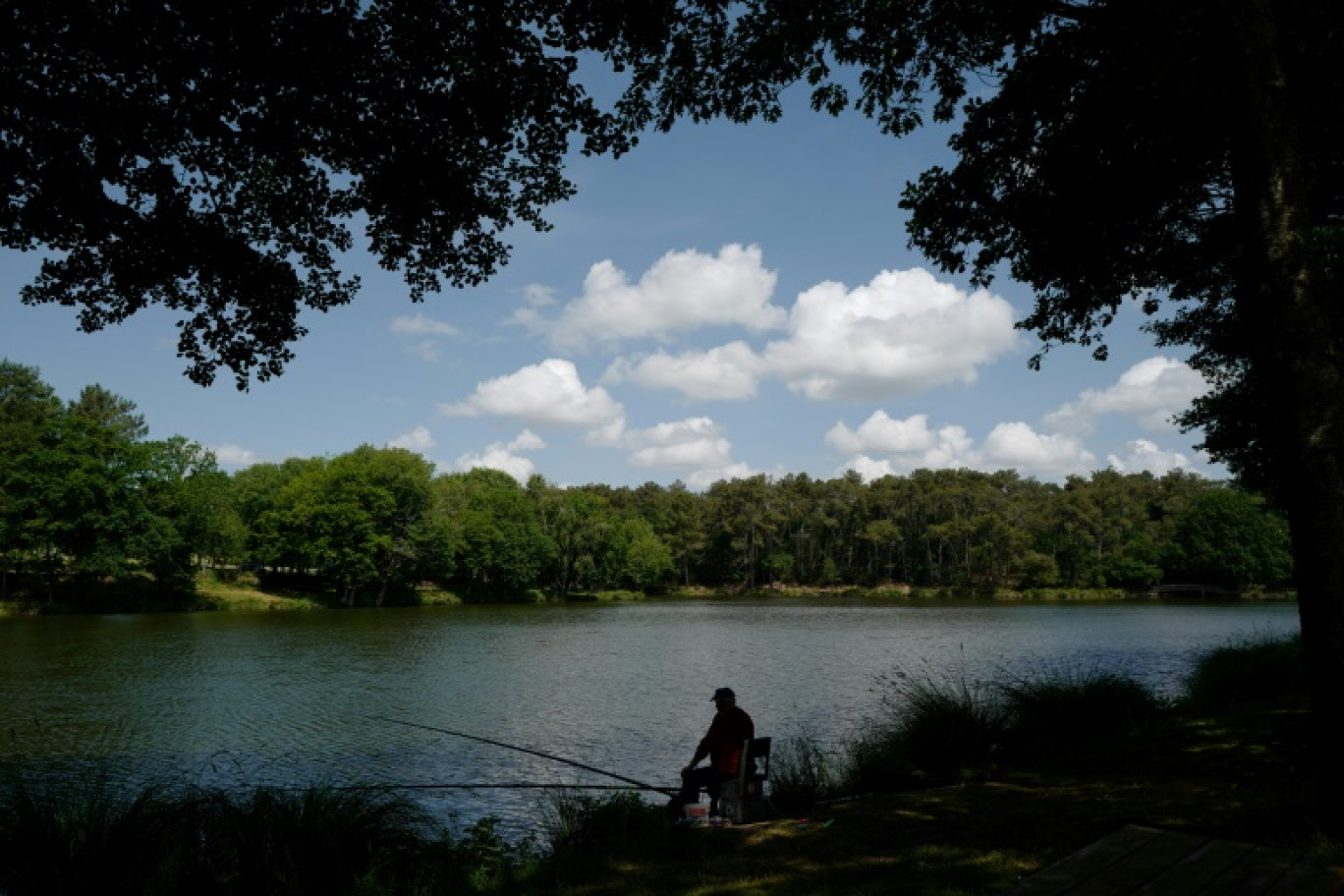 Un pêcheur au bord d'un lac à Nozay, en Loire-Atlantique, le 3 juin 2018 © Ludovic MARIN