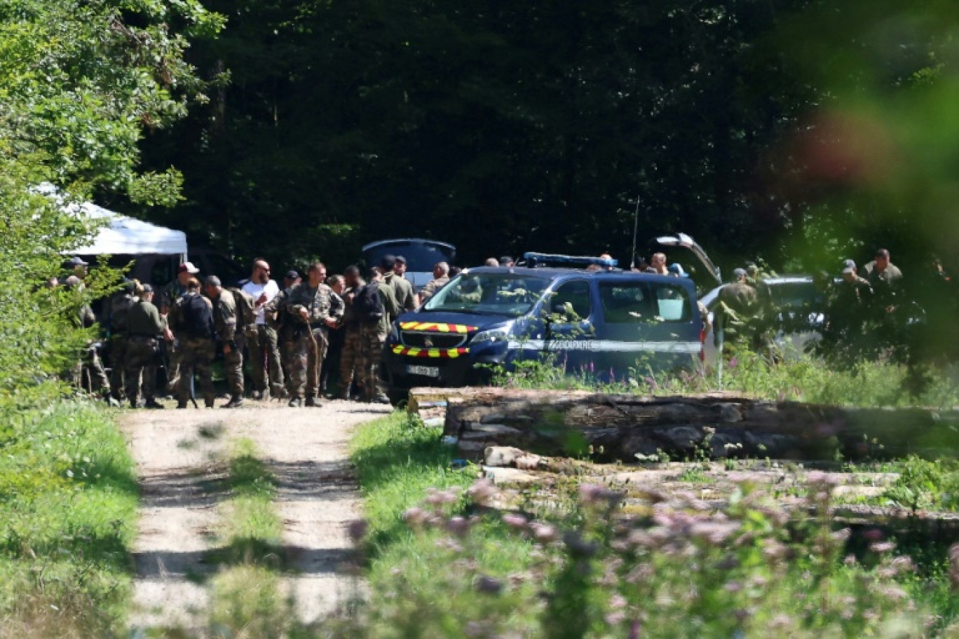 Des gendarmes participent aux recherches pour tenter de retrouver Lina - une adolescente disparue en septembre 2023 - dans une forêt de Saulx (Haute-Saône, est de la France), le 8 août 2024 © FREDERICK FLORIN