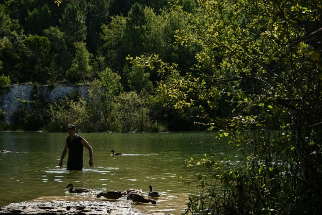 Un homme se rafraîchit dans l'étang de l'Ermitage à Lormont, près de Bordeaux, le 11 août 2024 © Philippe LOPEZ