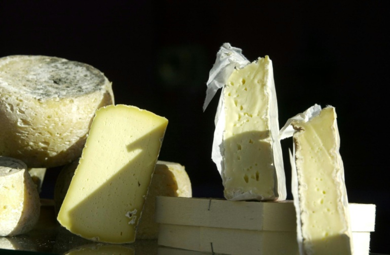 Une campagne de rappel a été lancée sur les fromages fermiers du Cantal étiquetés Le Chasteau, après la découverte de 72 cas de salmonellose liés à cette fromagerie © MYCHELE DANIAU