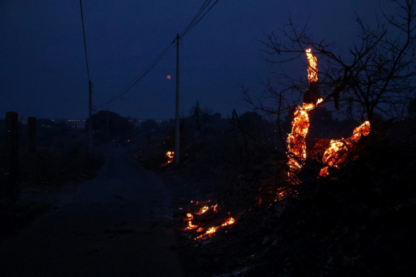 De la pinède gagnée par les flammes près de Frontignan, dans l'Hérault, le 18 août 2024 © Pascal GUYOT