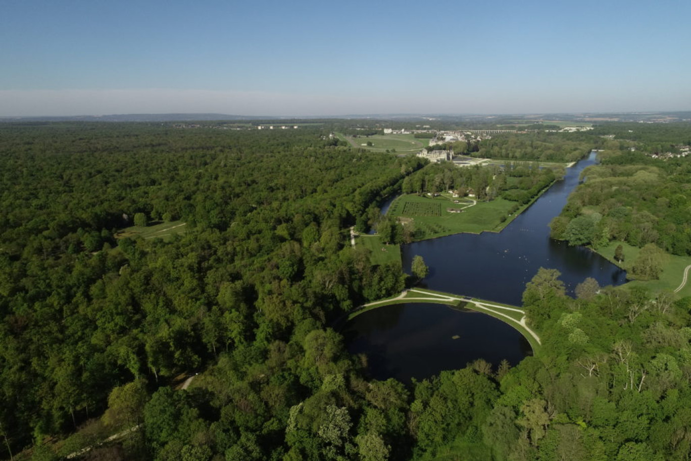 Forêt de Chantilly/ Gouvieux.