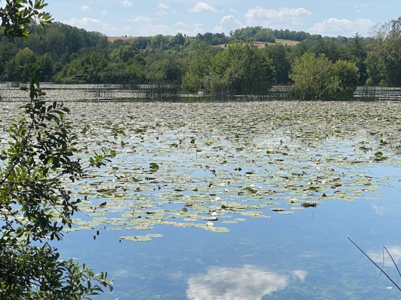 Les marais de Longpré-les-Corps-Saints s’étendent sur 160 hectares.