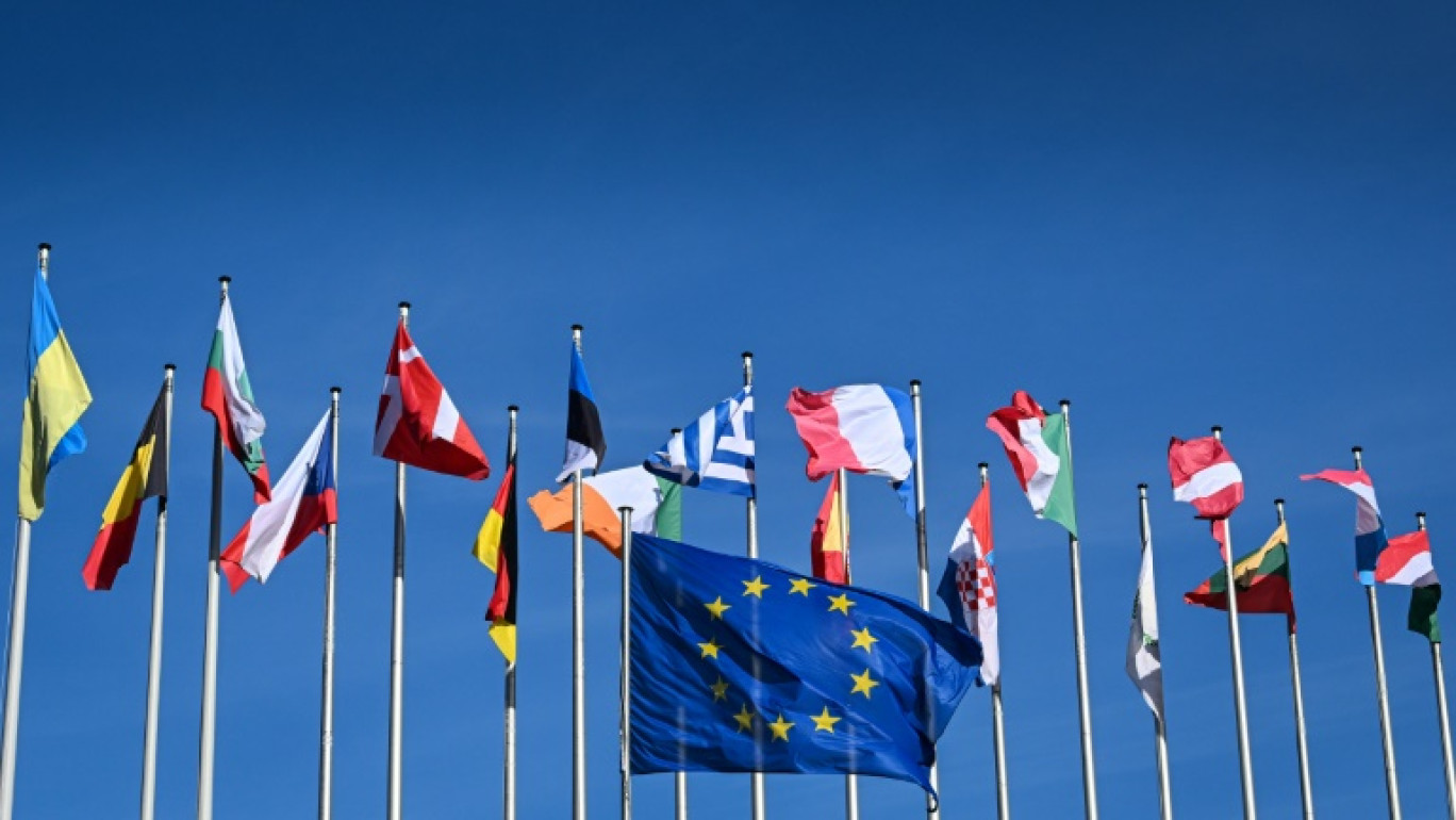 Des drapeaux des pays de l'UE devant le Parlement européen à Strasbourg (Est de la France) le 25 mars 2024 © PATRICK HERTZOG