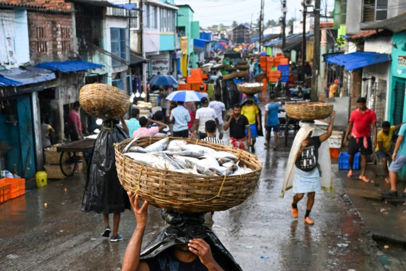 Des vendeurs de poissons hilsa transportent des paniers sur un marché à Diamond Harbour, le 10 septembre 2024 en Inde © Dibyangshu SARKAR